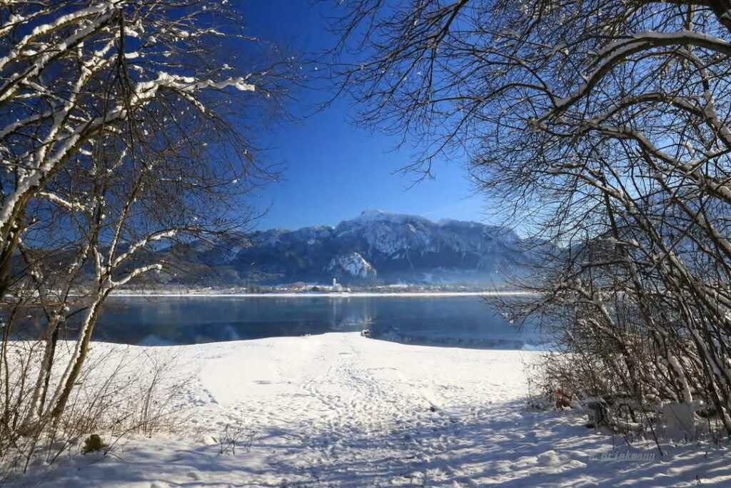 Forggensee Winter - mit Blick Richtung Schwangau